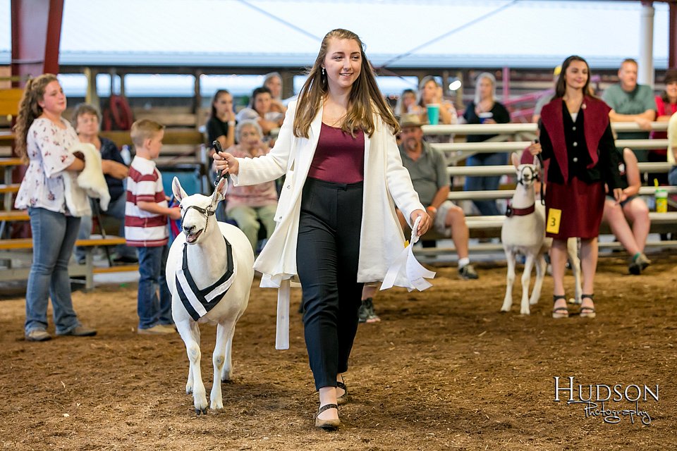 LCFAIR17-7618.jpg