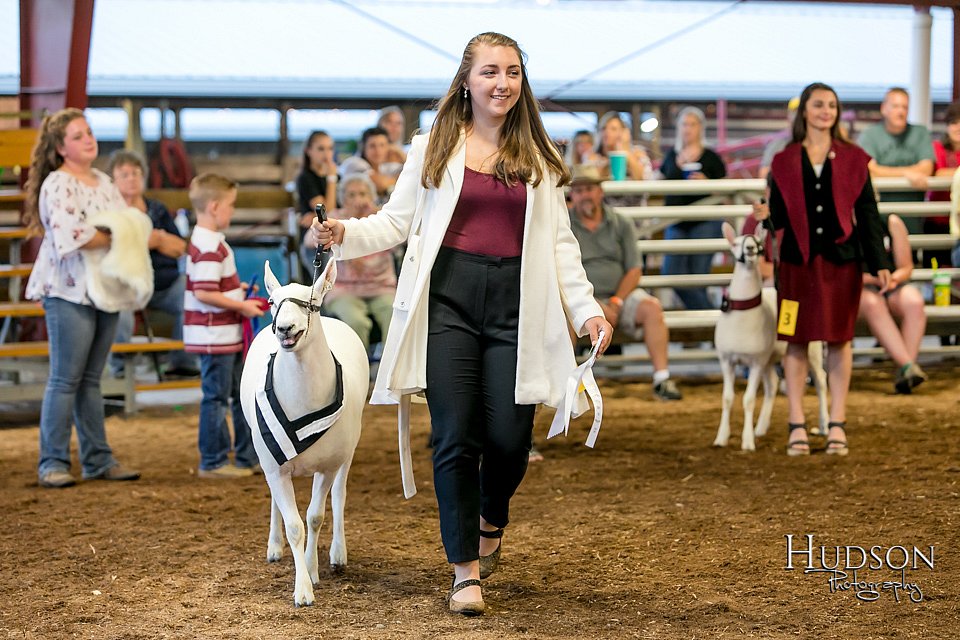 LCFAIR17-7619.jpg