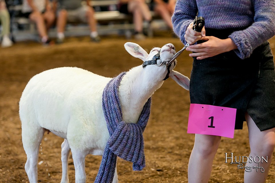LCFAIR17-7640.jpg
