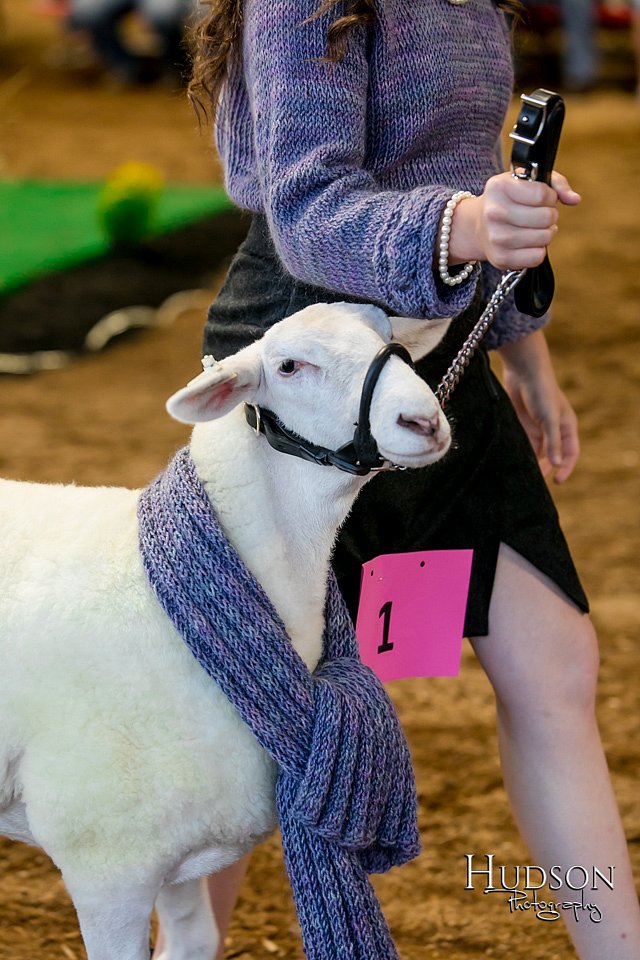 LCFAIR17-7641.jpg