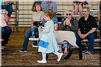 LCFAIR17-6831.jpg