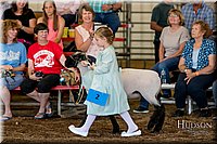 LCFAIR17-6832.jpg