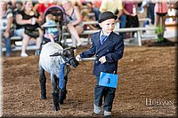 LCFAIR17-6847.jpg