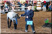 LCFAIR17-6848.jpg