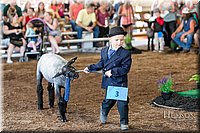 LCFAIR17-6849.jpg