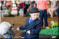 LCFAIR17-6851.jpg