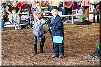 LCFAIR17-6867.jpg