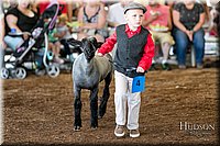 LCFAIR17-6881.jpg