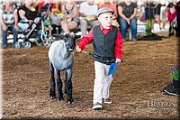 LCFAIR17-6883.jpg