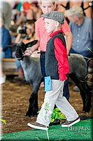 LCFAIR17-6894.jpg