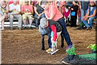 LCFAIR17-6895.jpg