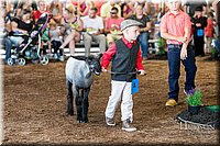 LCFAIR17-6905.jpg