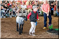 LCFAIR17-6906.jpg