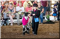 LCFAIR17-6909.jpg