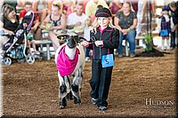 LCFAIR17-6912.jpg