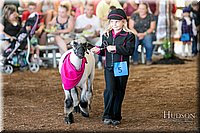 LCFAIR17-6913.jpg