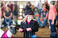 LCFAIR17-6917.jpg