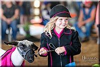 LCFAIR17-6918.jpg