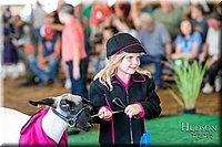 LCFAIR17-6920.jpg