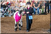 LCFAIR17-6933.jpg