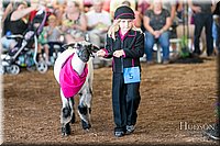 LCFAIR17-6934.jpg