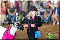 LCFAIR17-6935.jpg