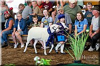 LCFAIR17-6939.jpg