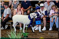 LCFAIR17-6941.jpg