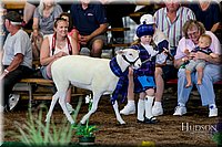 LCFAIR17-6942.jpg