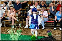 LCFAIR17-6966.jpg