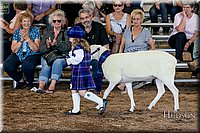 LCFAIR17-6981.jpg