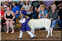 LCFAIR17-6983.jpg