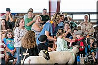 LCFAIR17-6984.jpg