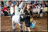 LCFAIR17-6987.jpg