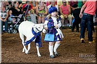 LCFAIR17-6989.jpg