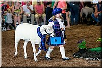 LCFAIR17-6990.jpg