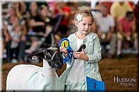 LCFAIR17-7002.jpg