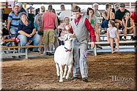 LCFAIR17-7004.jpg