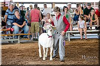 LCFAIR17-7005.jpg