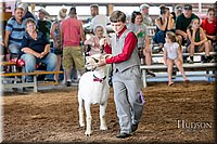 LCFAIR17-7006.jpg