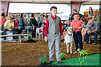 LCFAIR17-7012.jpg