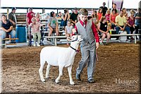 LCFAIR17-7021.jpg