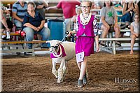 LCFAIR17-7028.jpg