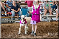 LCFAIR17-7029.jpg