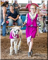 LCFAIR17-7033.jpg