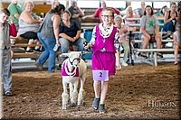 LCFAIR17-7034.jpg