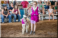 LCFAIR17-7069.jpg