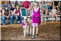 LCFAIR17-7070.jpg