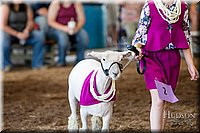 LCFAIR17-7071.jpg