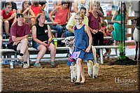 LCFAIR17-7085.jpg